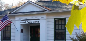 Photo of library with yellow autumn leaves.