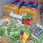 Seeds in the seed library