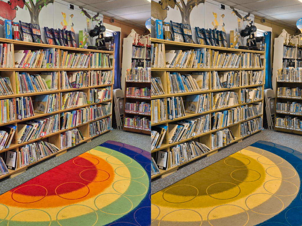 Image of library how it might appear to someone with color blindness. 